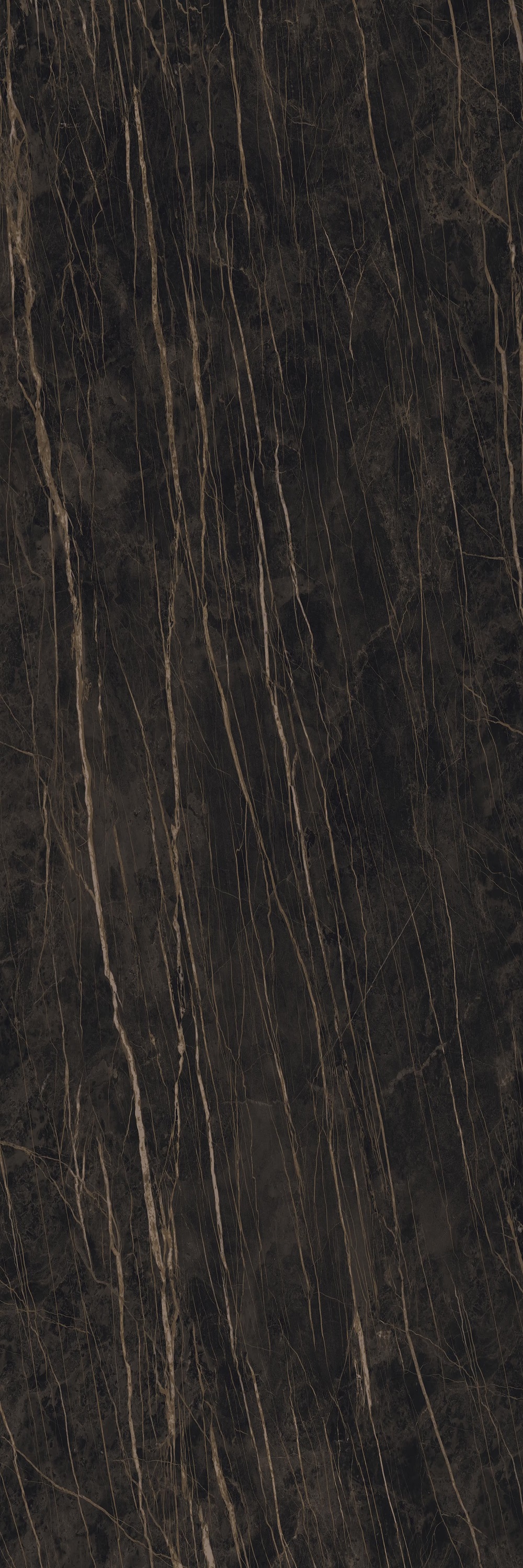 LAMF007945_IT На стену I Naturali Marmi Noir Desir 3+ 1000x3000