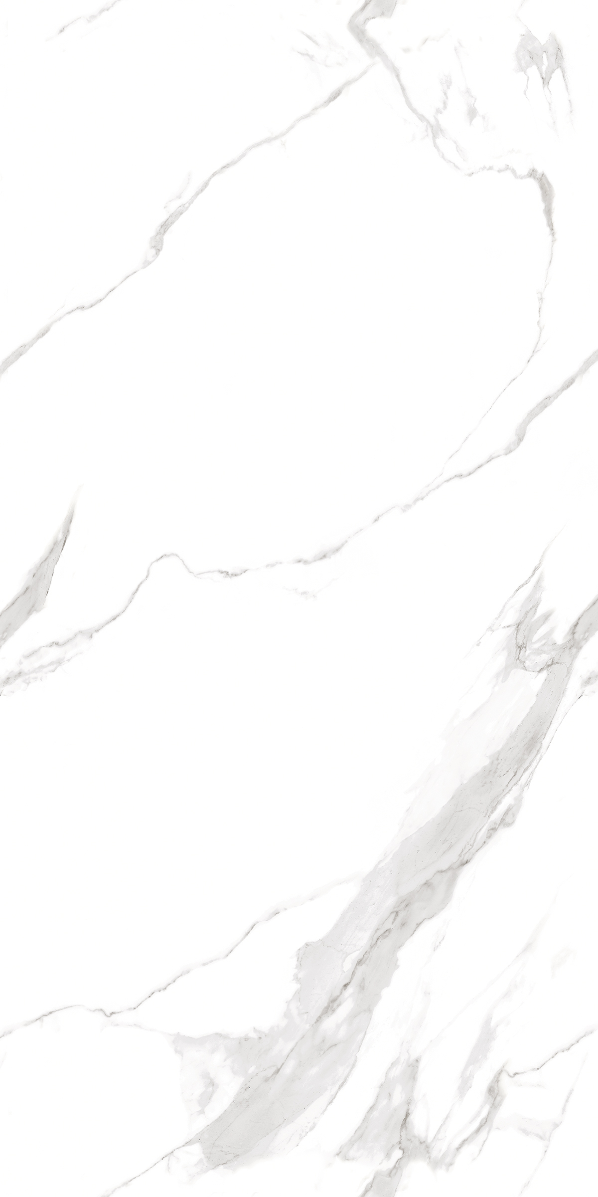 900  На пол Marble 5.5mm Statuario Fantastico 120x60