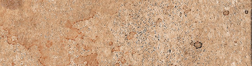 На стену Айдахо 4 коричневый 245x65 - фото 10