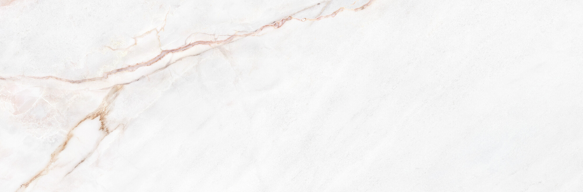 39500 На стену Museum Dahlia White SP/33.3X100/R 33.3x100 - фото 9