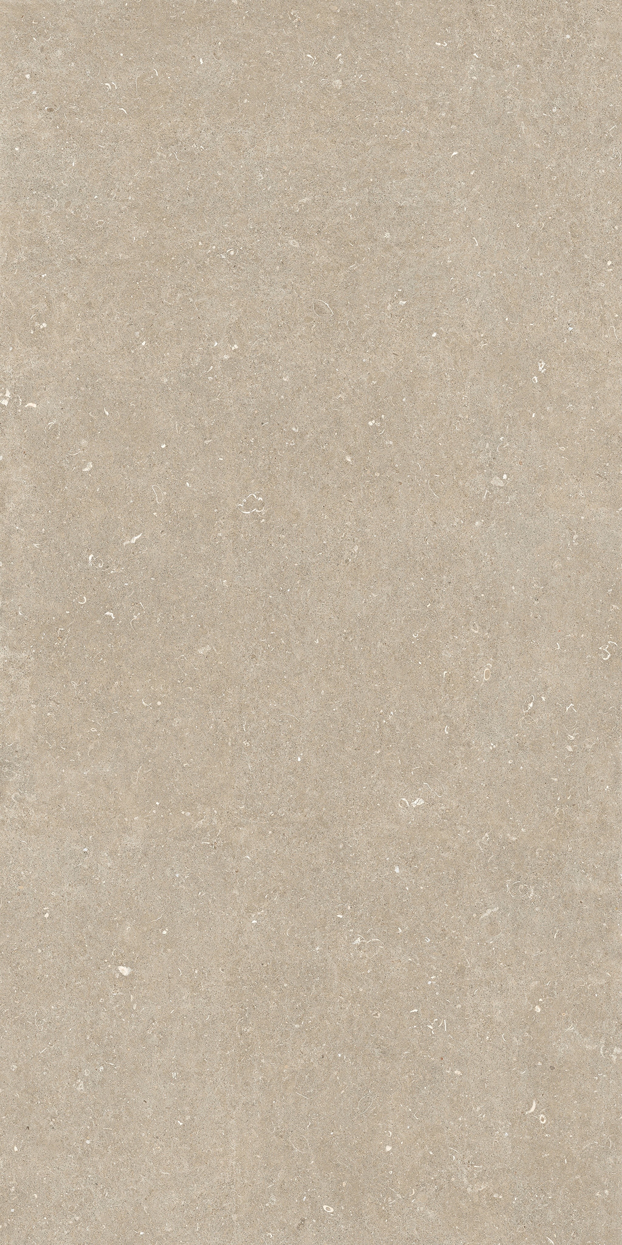 785583 На пол Rinascenza Arena Conchiglia Matte 6mm 120x240