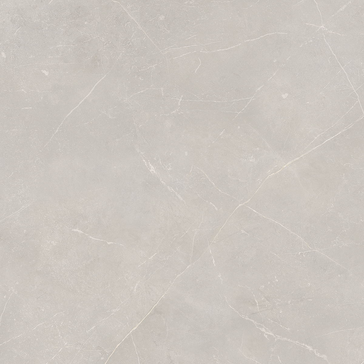 NL02/PS_NC/60x60x10R/GW На пол Nolana NL02 Light Grey Полированный Рект. 60x60x10 - фото 5