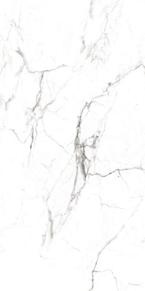 На пол Regal Carrara White 80x160