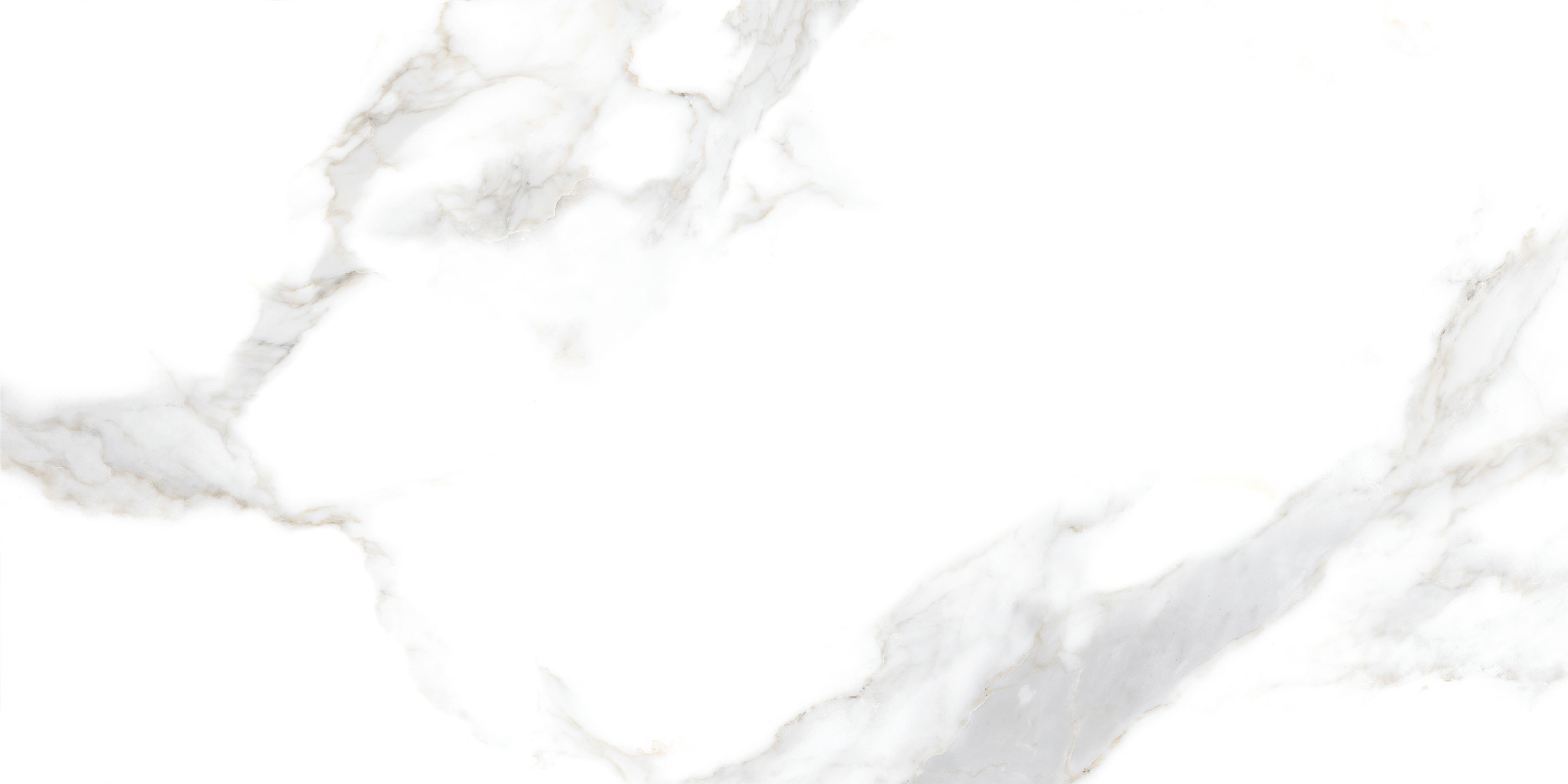 GT5010026803MR На пол Сопрано Белый 50x100 - фото 11