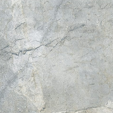 1173 Напольный Porcelain Tile Grey Polished 60x60