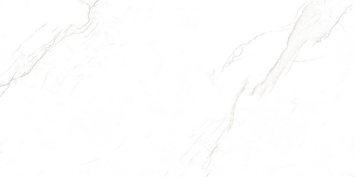 ENMAR1030MT60120 На пол Marble Mystic White Matt - фото 3