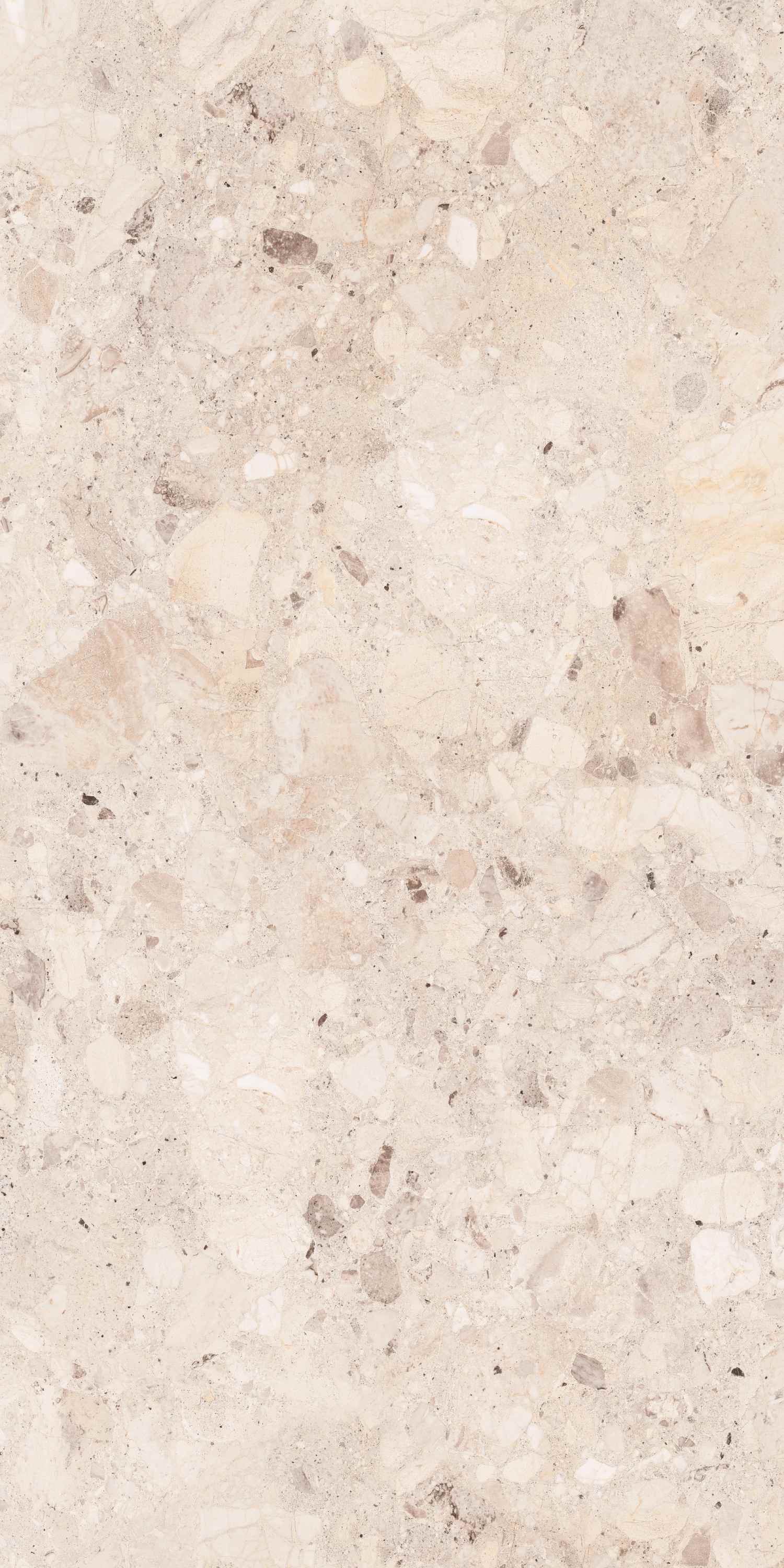 На пол Clio Ivory Deck 60x120 - фото 2