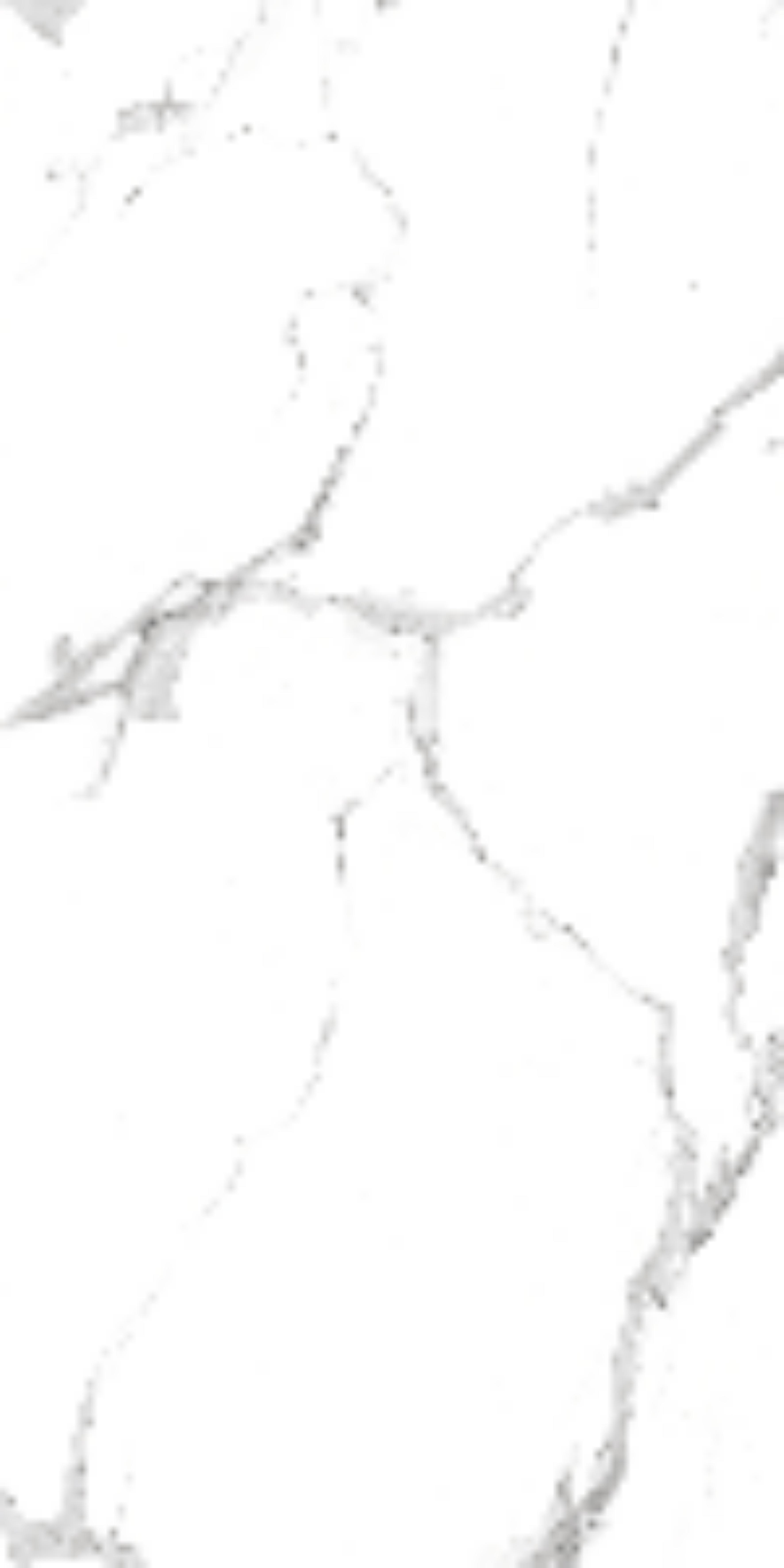 На пол Cerrad Statuario Cerrad Statuario 60x120 - фото 4