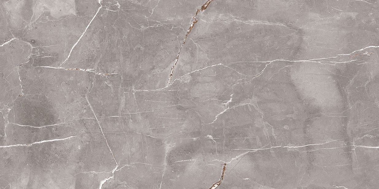 BR-01-01-0612-0019-2 На пол Marble Legacium Cinerea Glossy Ink 60х120