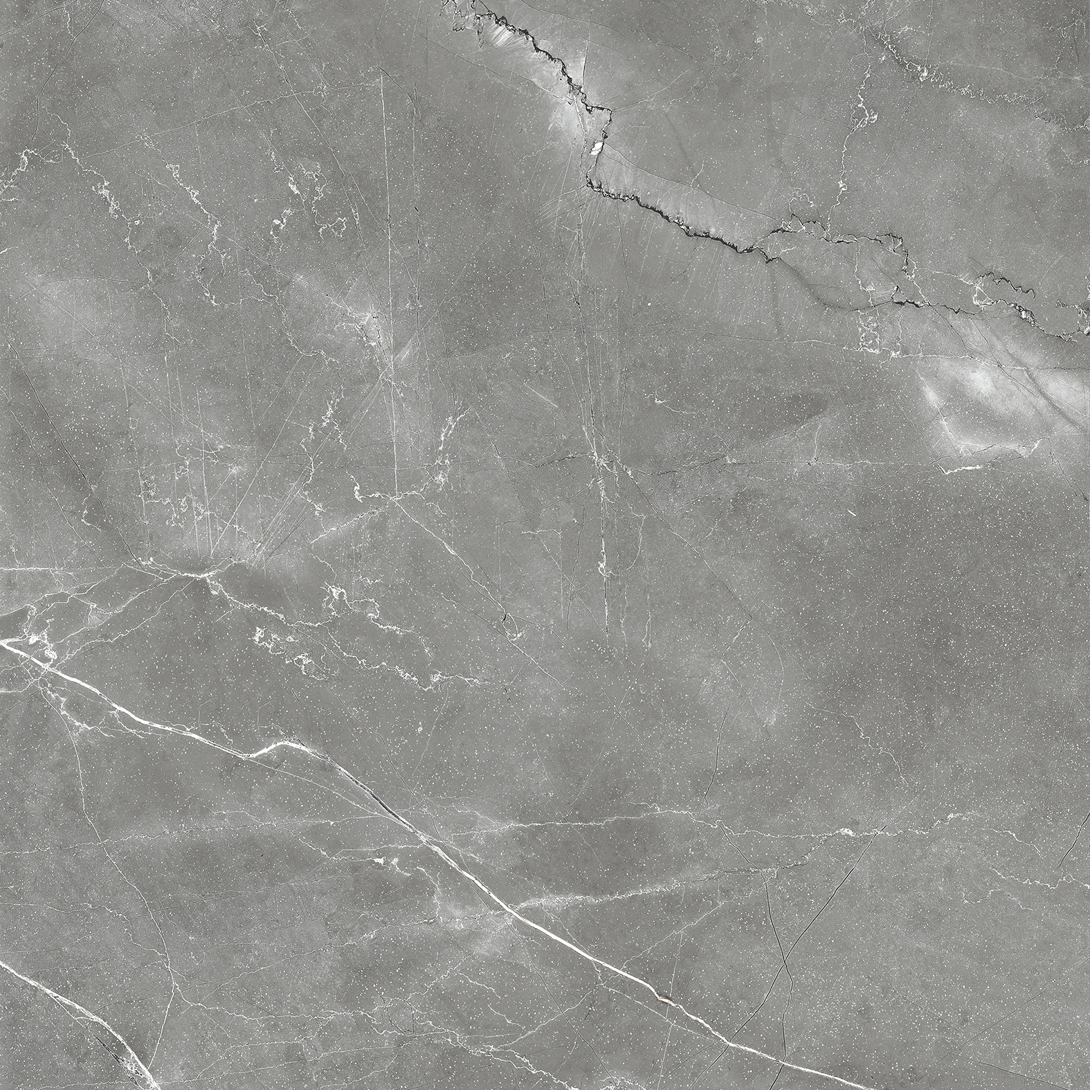 CR6011-A На пол Pulpis Nero Carving 60x60 - фото 9