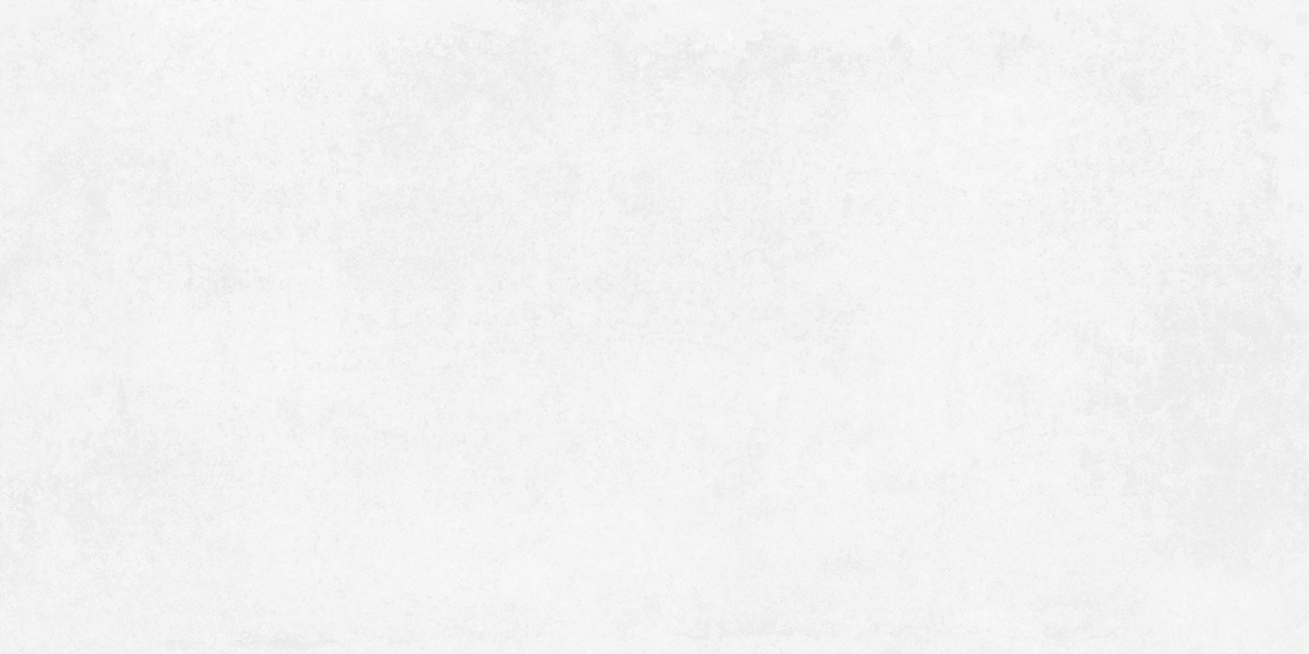 На пол Betonica Blanco PRO Светло-серый матовый R11Soft 80х160 - фото 4