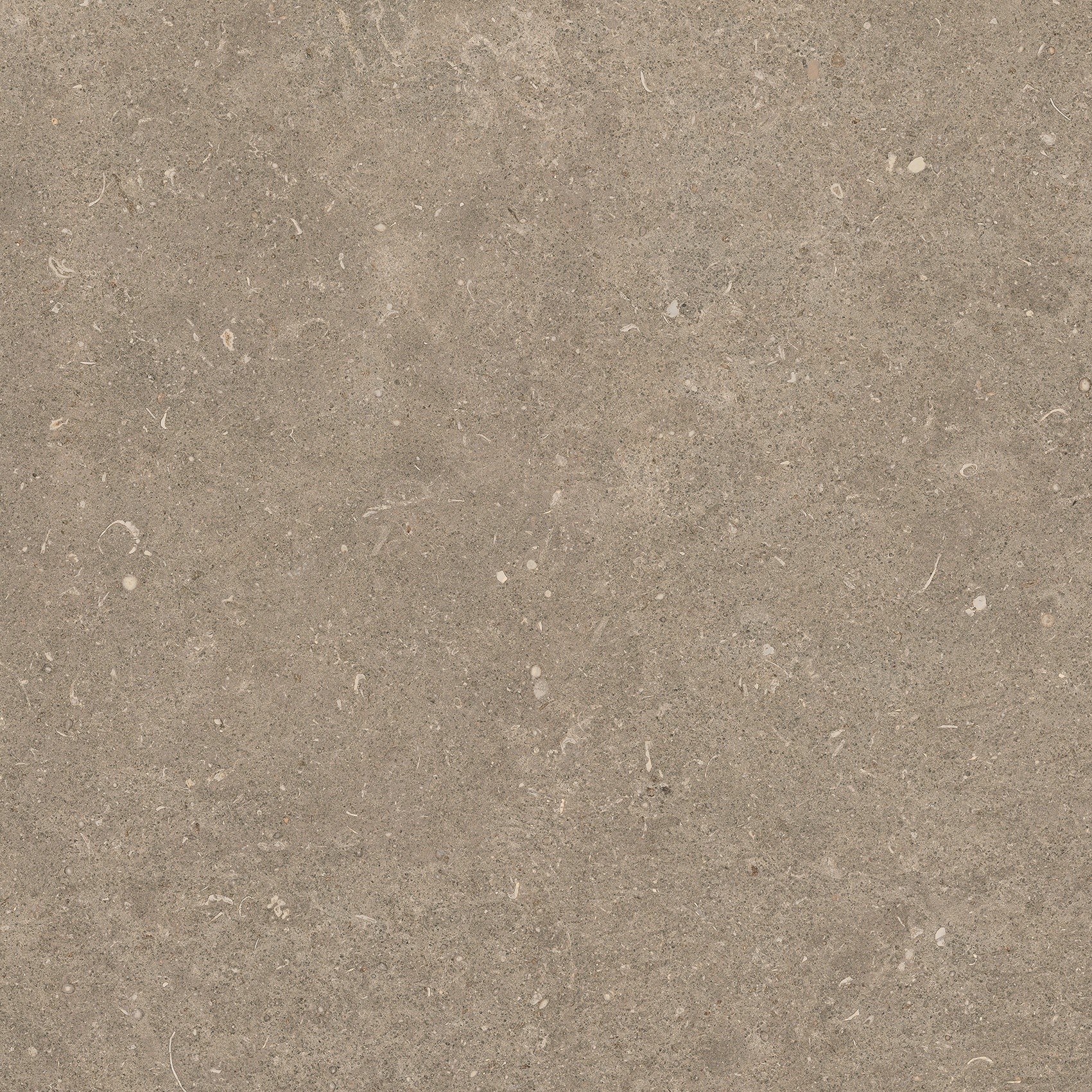 785486 На пол Rinascenza Arena Pietra Matte 60x60 - фото 4