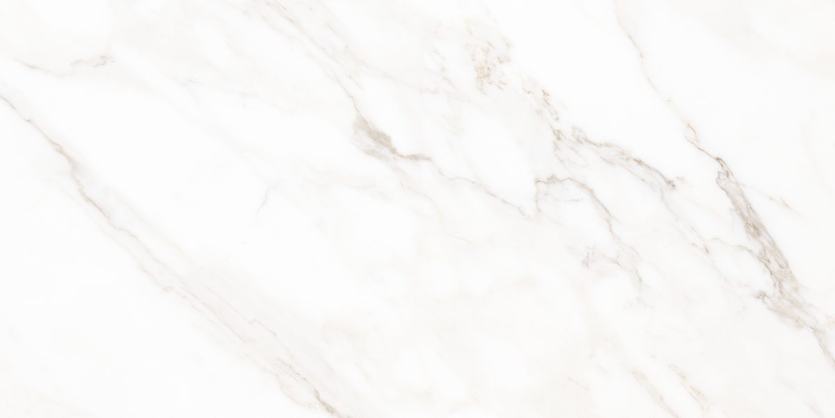 N40059 На пол Classic Marble Calacatta Polished 60x120 - фото 4