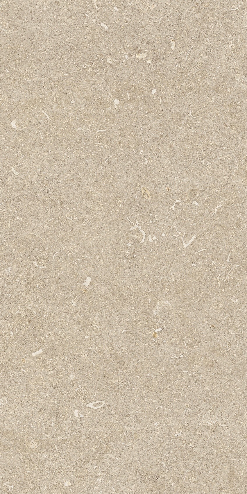 785489 На пол Rinascenza Arena Conchiglia Matte 30x60 - фото 7