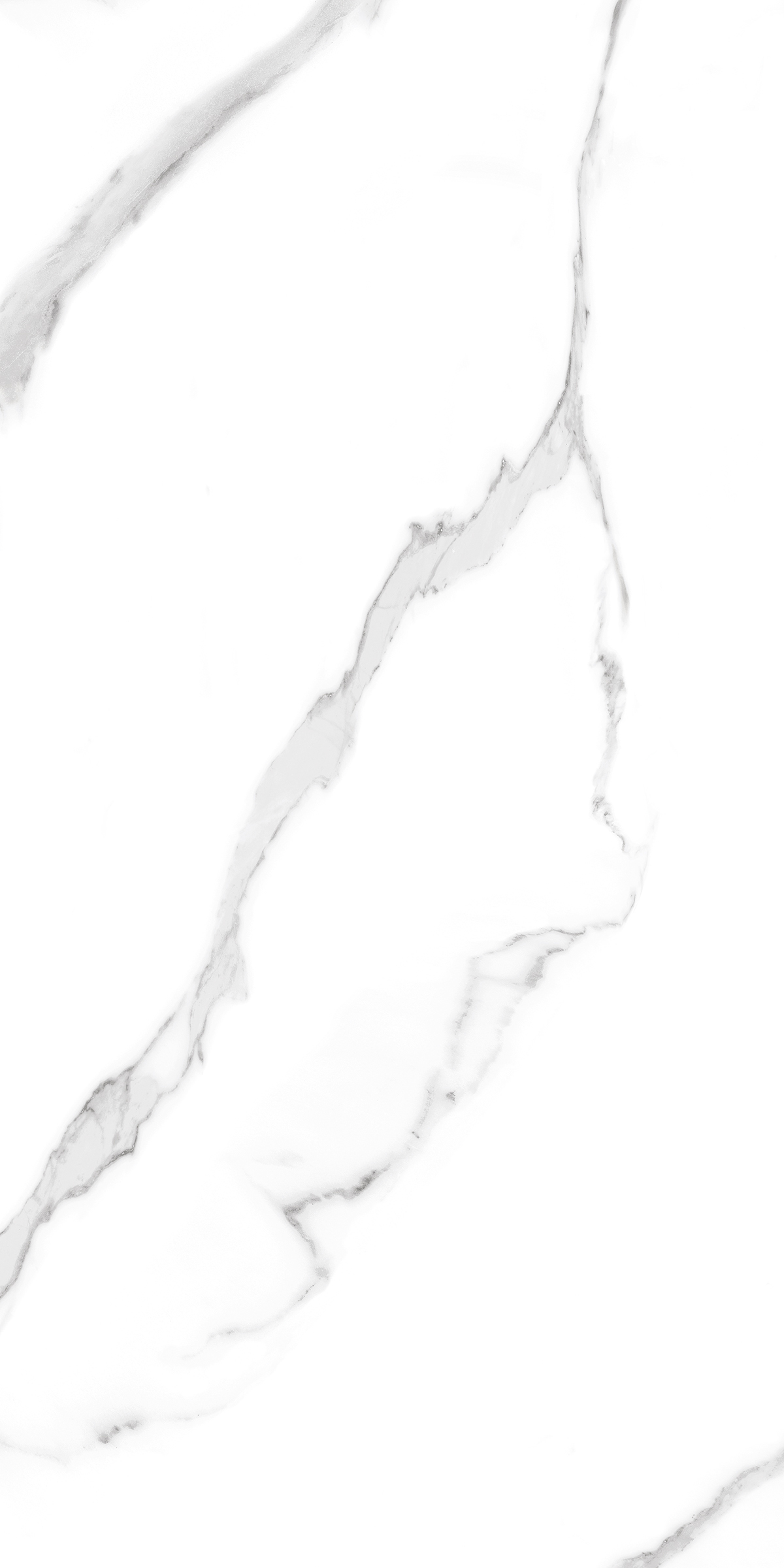 889  Напольный Marble 5.5mm Carrara 120x60 - фото 2