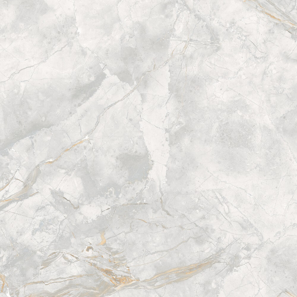 166687 На пол Elison Polished 60x60 - фото 2