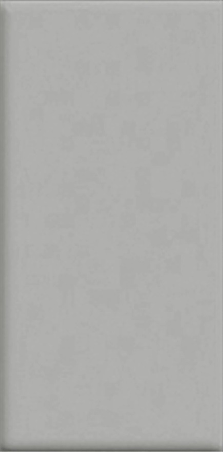 80129.1 На пол Olympic Series Grey 12x24.5