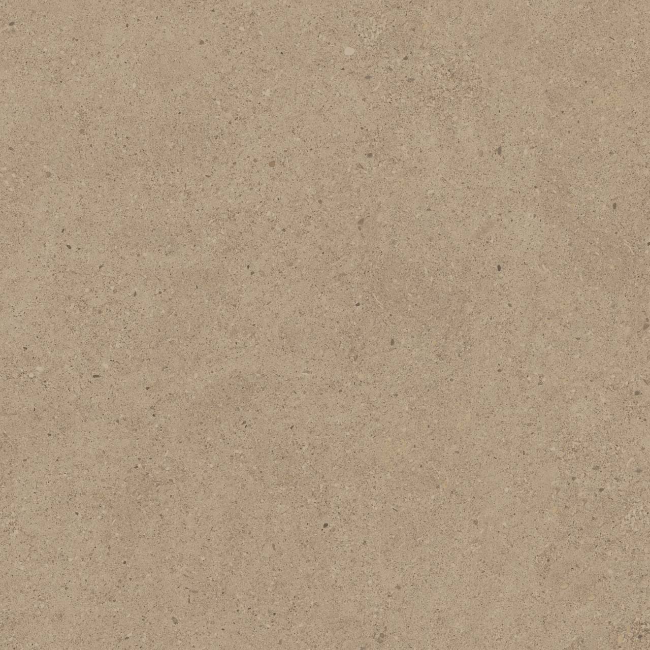 CE01/NR_R11/60x60x20R/GW На пол Спенс CE01 Темно-бежевый Структурированный Рект 60x60x20 - фото 8