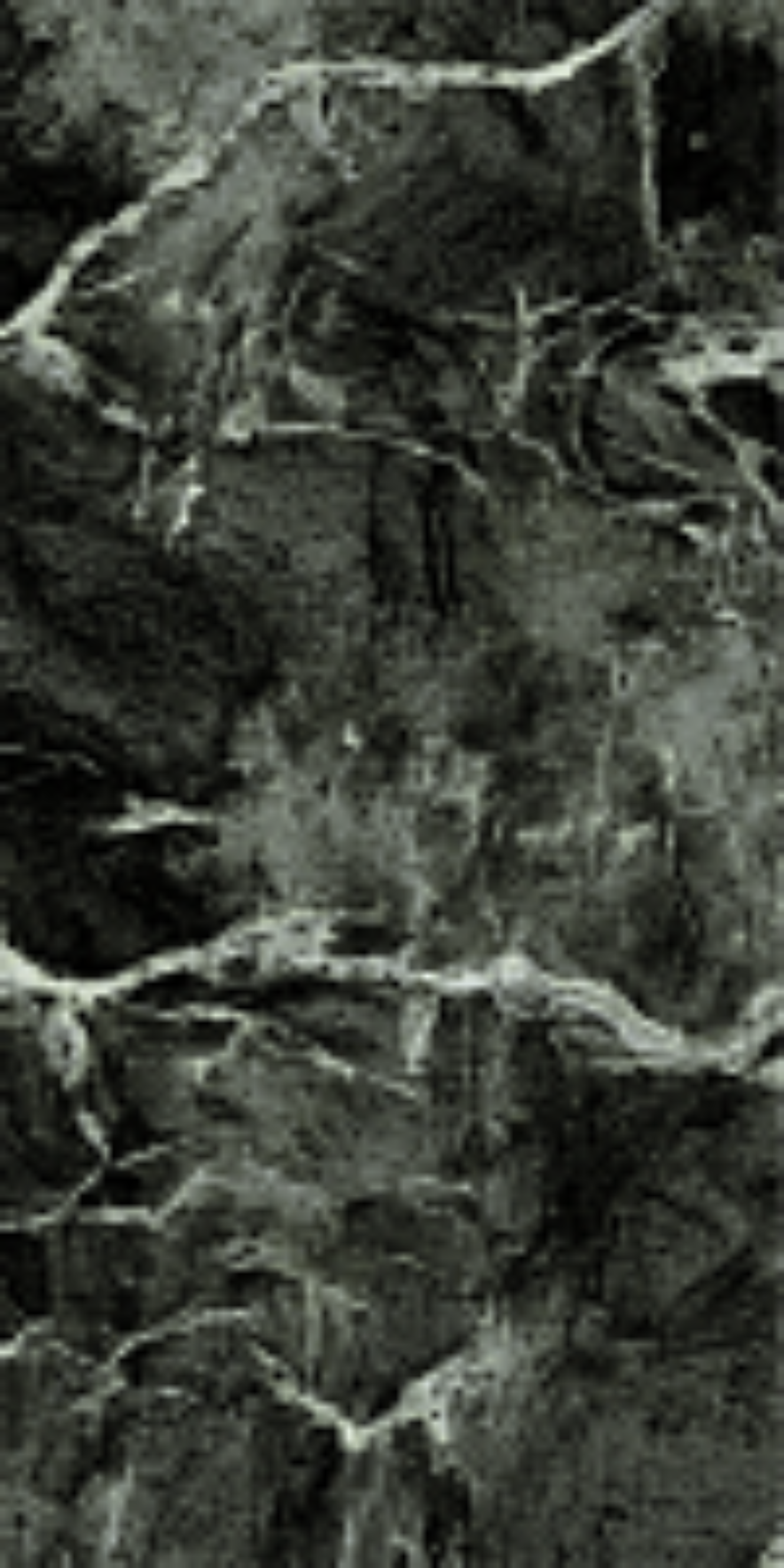 610015000710 На пол Magma Alpi Green Cer Ret 80x160 - фото 6