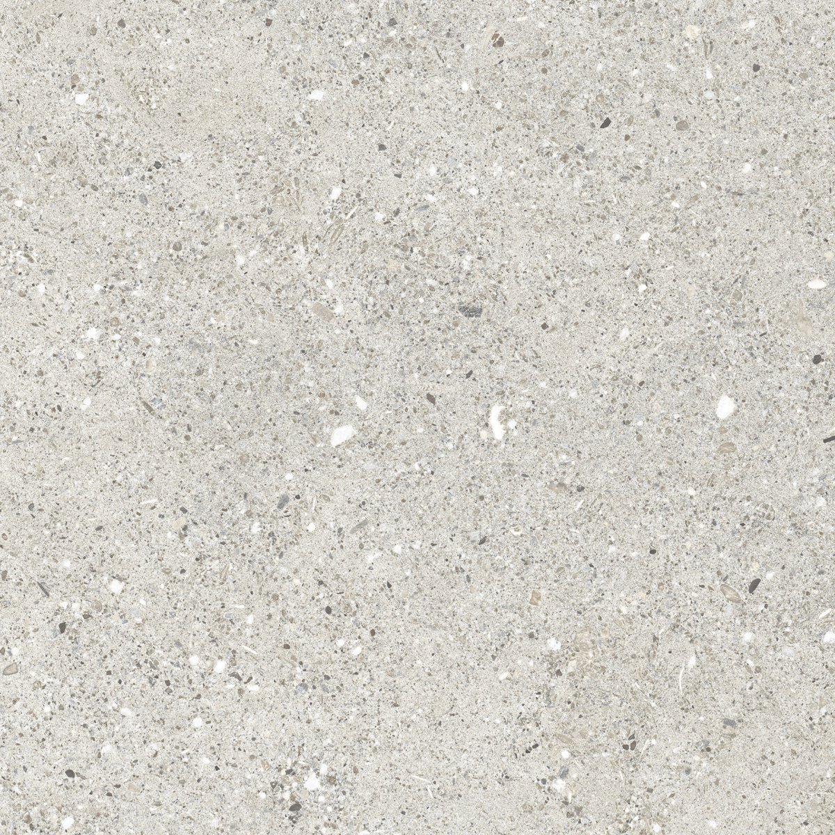 CR6060G0461R На пол Granito Grigio серый матовый 59.5х59.5