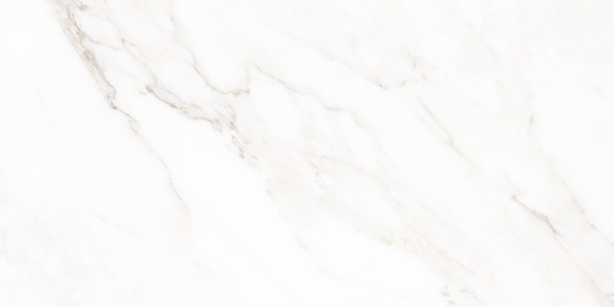 N40059 На пол Classic Marble Calacatta Polished 60x120 - фото 2
