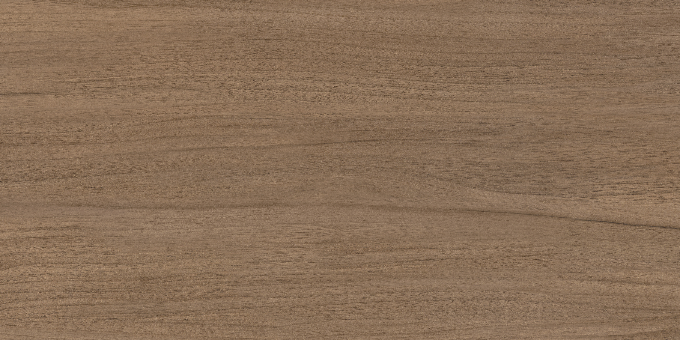 010100001763 На стену Барселона Волнат кор низ 01 30x60 - фото 2