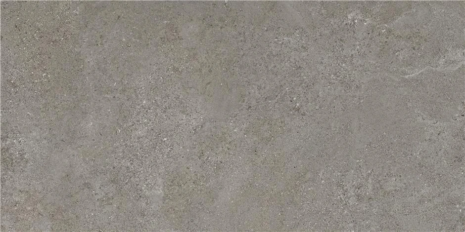 CAN5AREIDD5A На пол Arenite Dark Grey MT 60x120