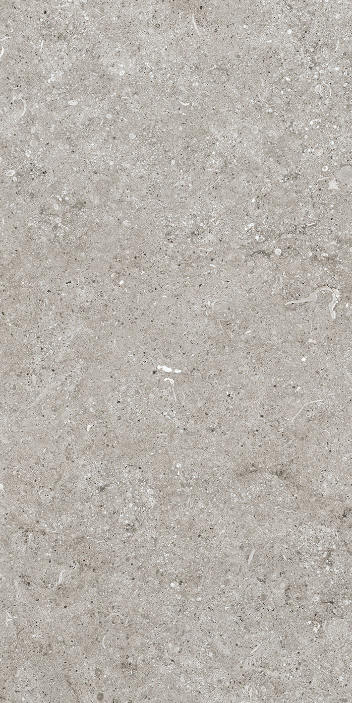768343 На пол Sensi by Thun Grey Fossil R+PTV Ret 40x80 - фото 3