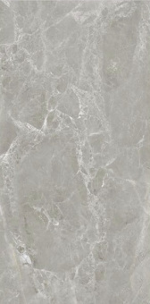 На пол Zanetta Grey Glossy 60x120