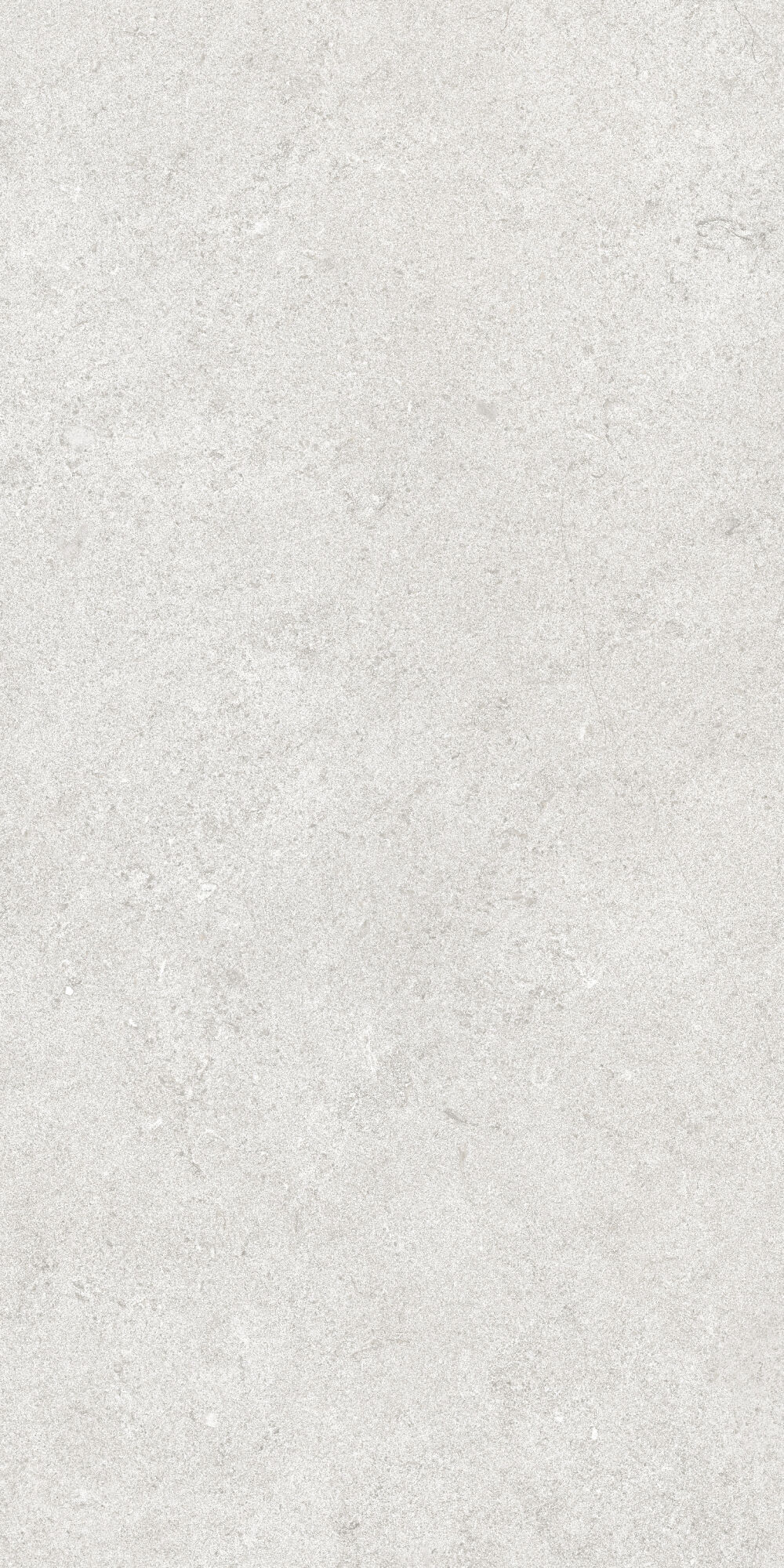 36904 На пол Cluny Silver 4D/50X100X2/A/R 50x100 - фото 7