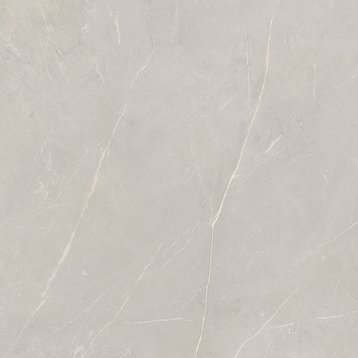 NL02/PS_NC/60x60x10R/GW На пол Nolana NL02 Light Grey Полированный Рект. 60x60x10 - фото 16
