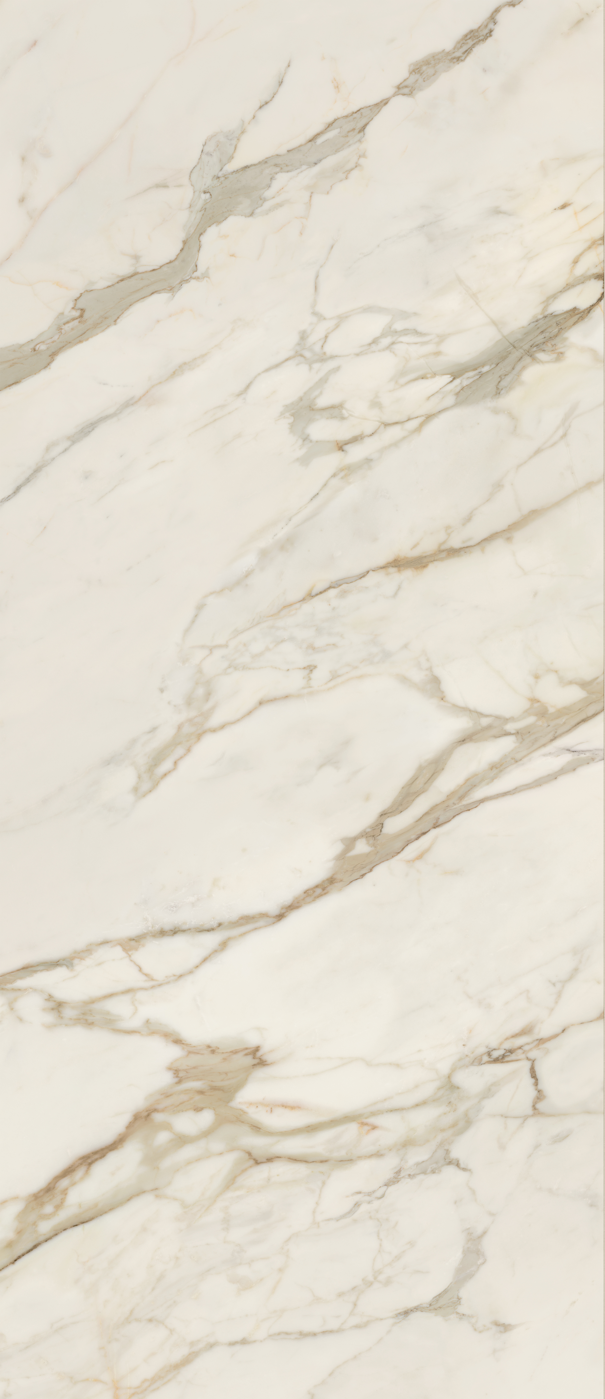 AGCJ На пол Anima Futura Golden White Luc. 278x120