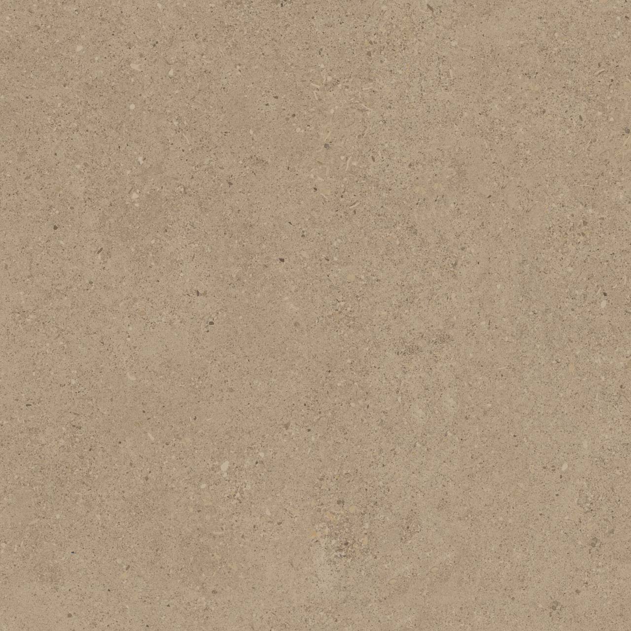 CE01/NR_R11/60x60x20R/GW На пол Спенс CE01 Темно-бежевый Структурированный Рект 60x60x20 - фото 7