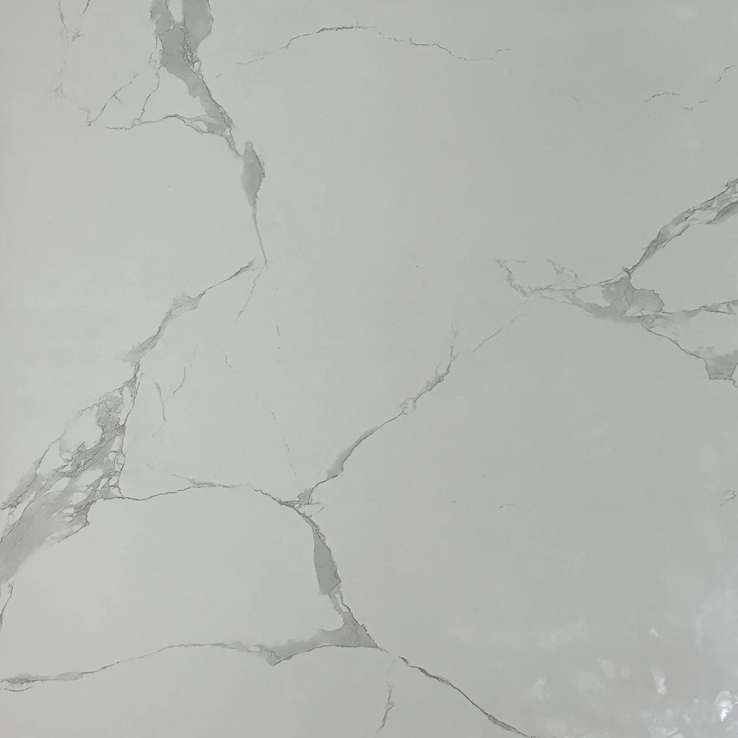 MT99125 На пол Gloss Porcelain Полированная 80x80