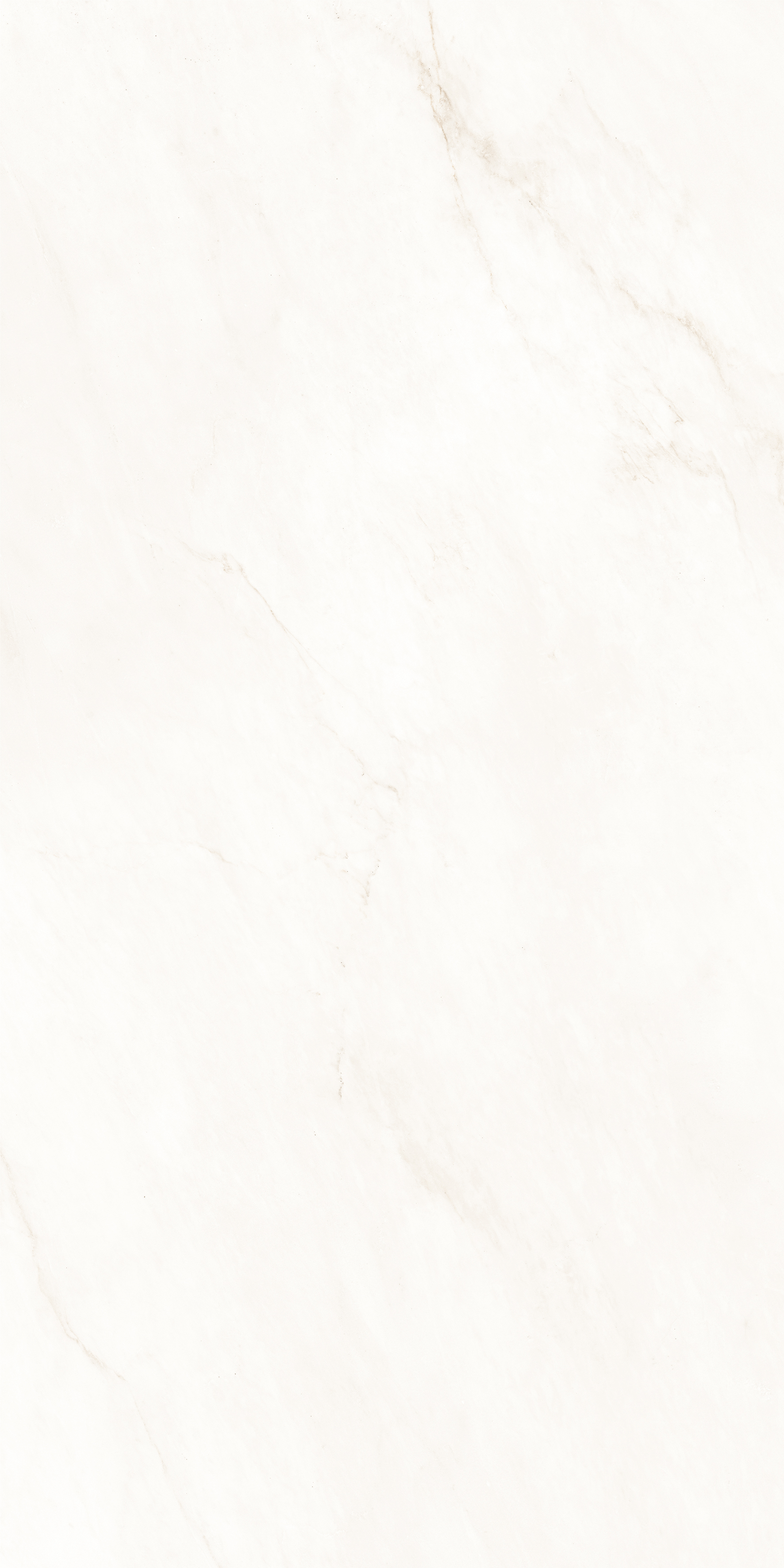 ETMAR1321GL60120  На пол Bianco Oro  Glossy 60x120