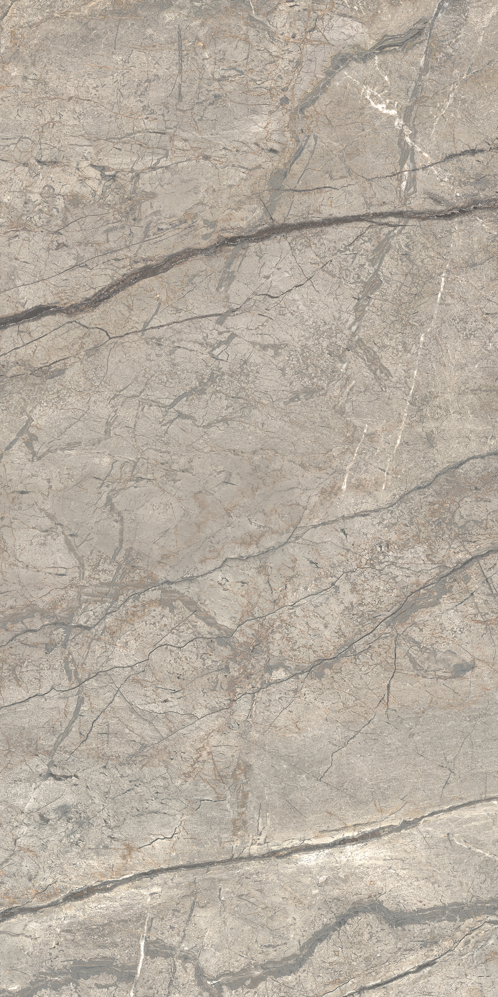 AGB6 На пол Anima Futura Silver Luc 60x120