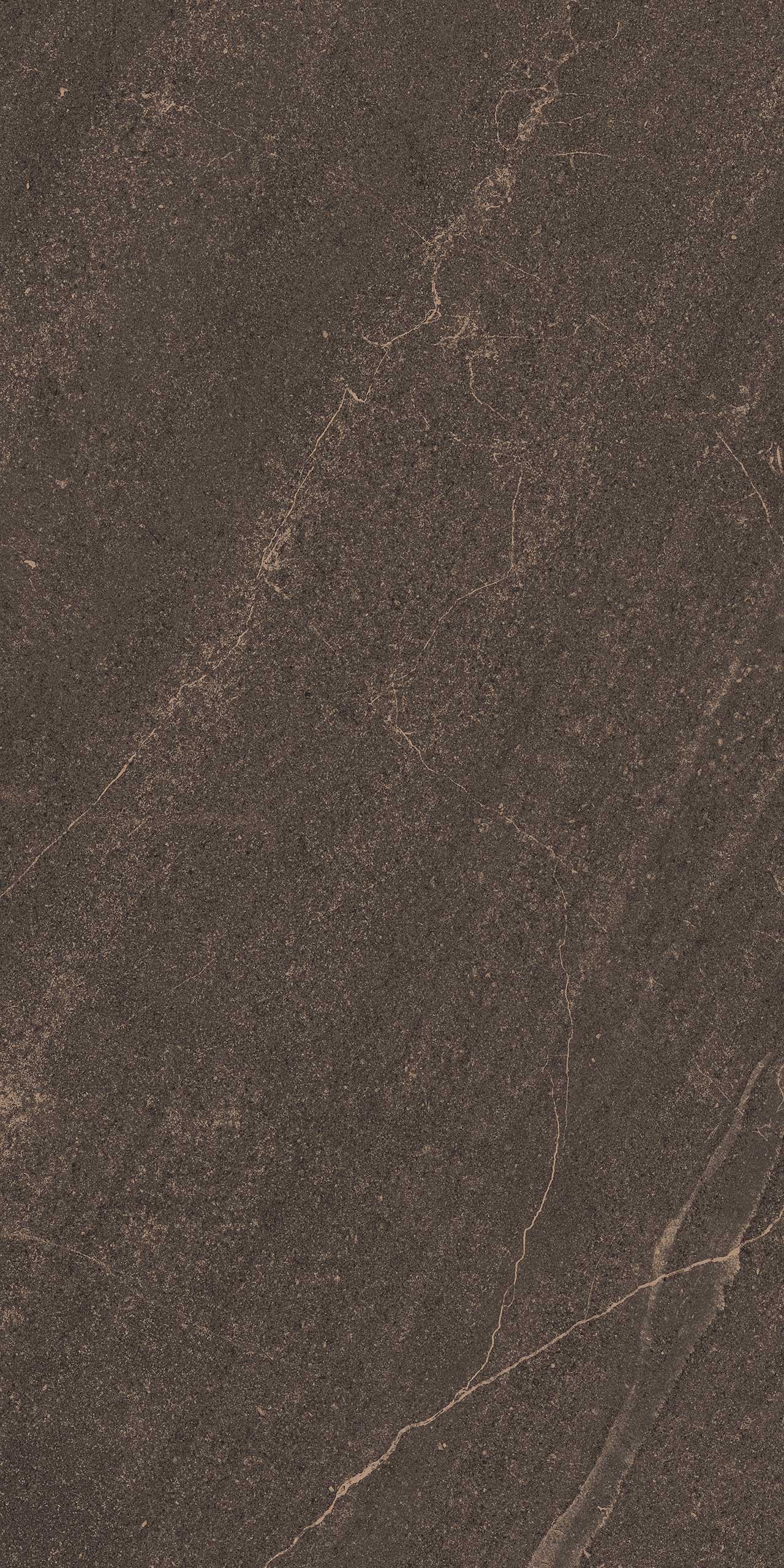 На пол Gabbro GB04 Brown Неполированный Рект. 80х160х10 - фото 6