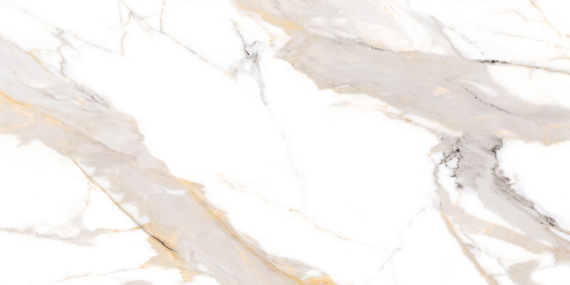 NTT9120M  На пол Bright And Shiny Calacatta Light Grey Mat 60x120 - фото 2