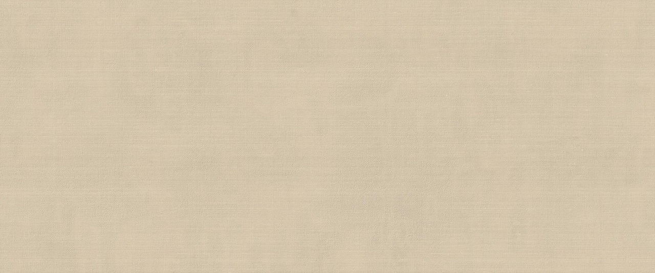 HCDR На стену Vest Ecru Matt 50x120 - фото 3