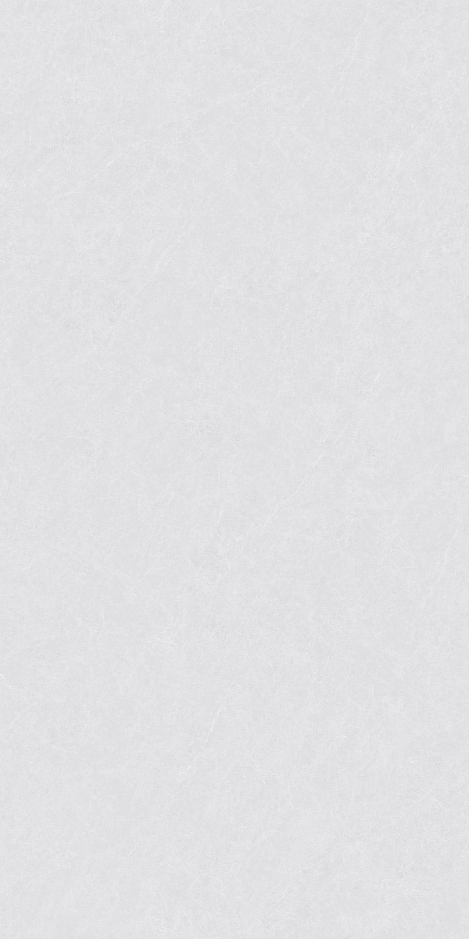 ZA-L12502 На пол Пепел Матовый 1200x600x9 - фото 2