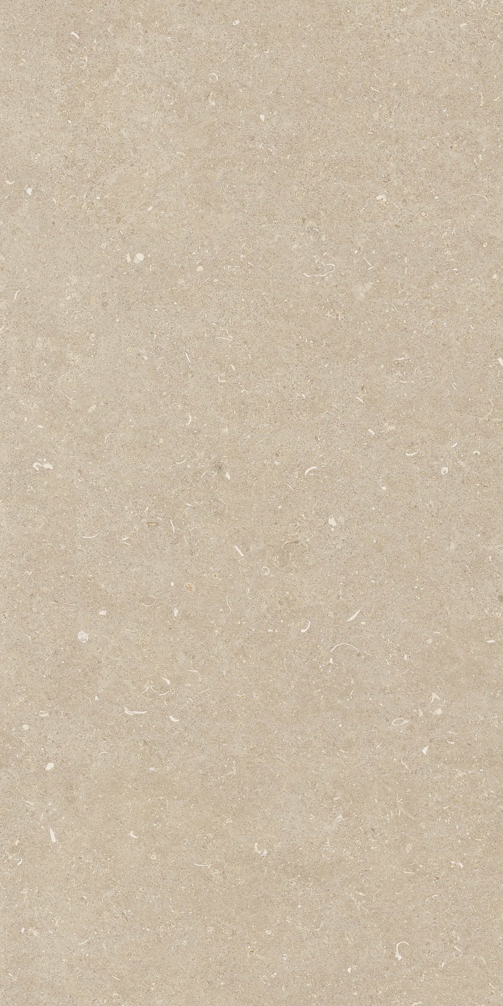 785509 На пол Rinascenza Arena Conchiglia Grip 20mm 60x120 - фото 9