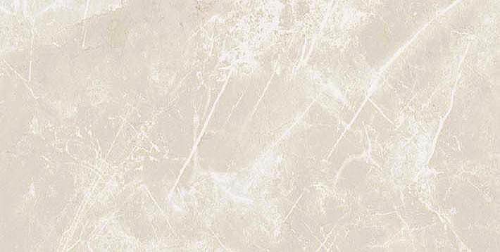 766623 На пол Elemental Stone White Dolomia Luc Ret 30x60