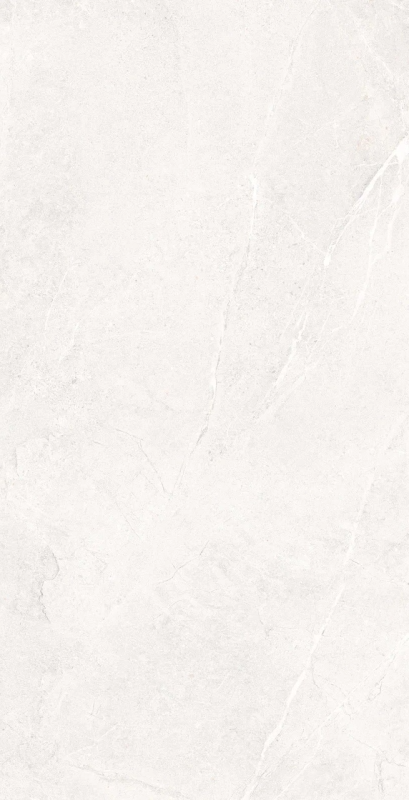 6012055 На пол Venice White Matt 60x120