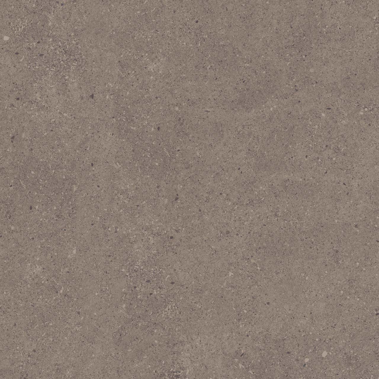 CE04/NR_R11/60x60x20R/GW На пол Спенс Темно-серый Структурированный Рект 60x60x20 - фото 3