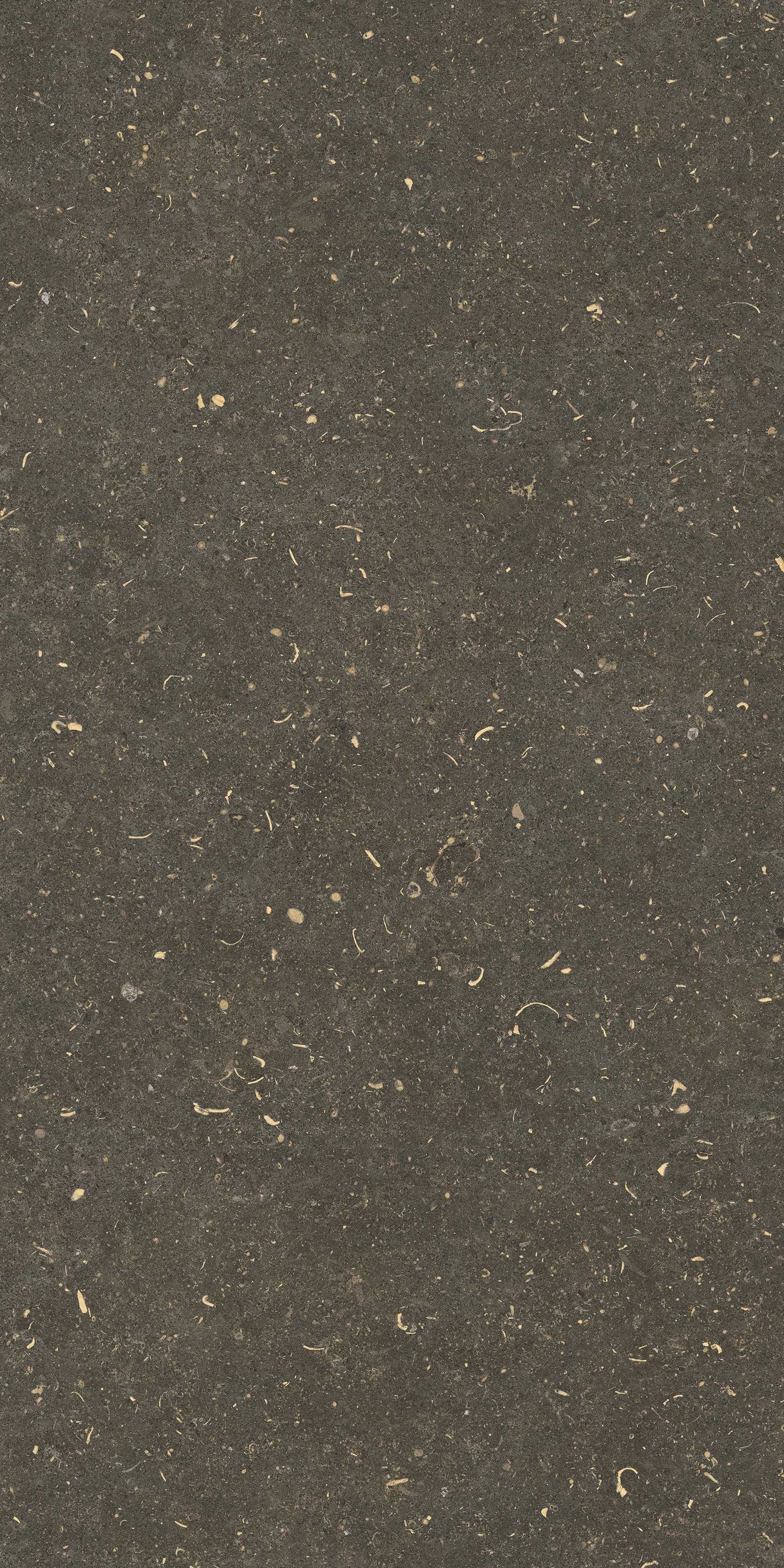 785483 На пол Rinascenza Arena Platino Matte 60x120 - фото 8