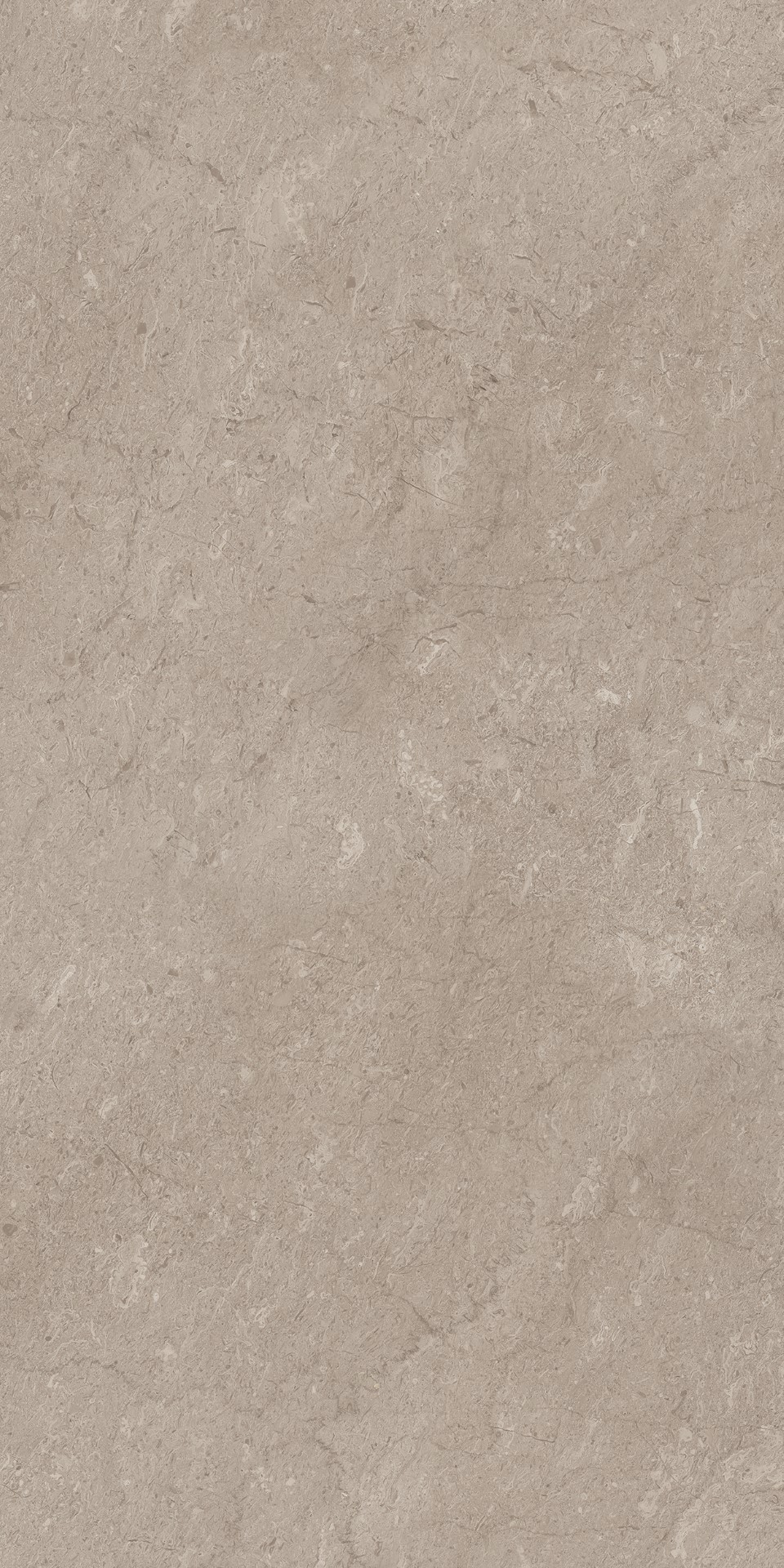 AEM02/NS_R9/60x120x9R/GW На пол Элемента Серый Неполированный Рект 60x120x9 - фото 9