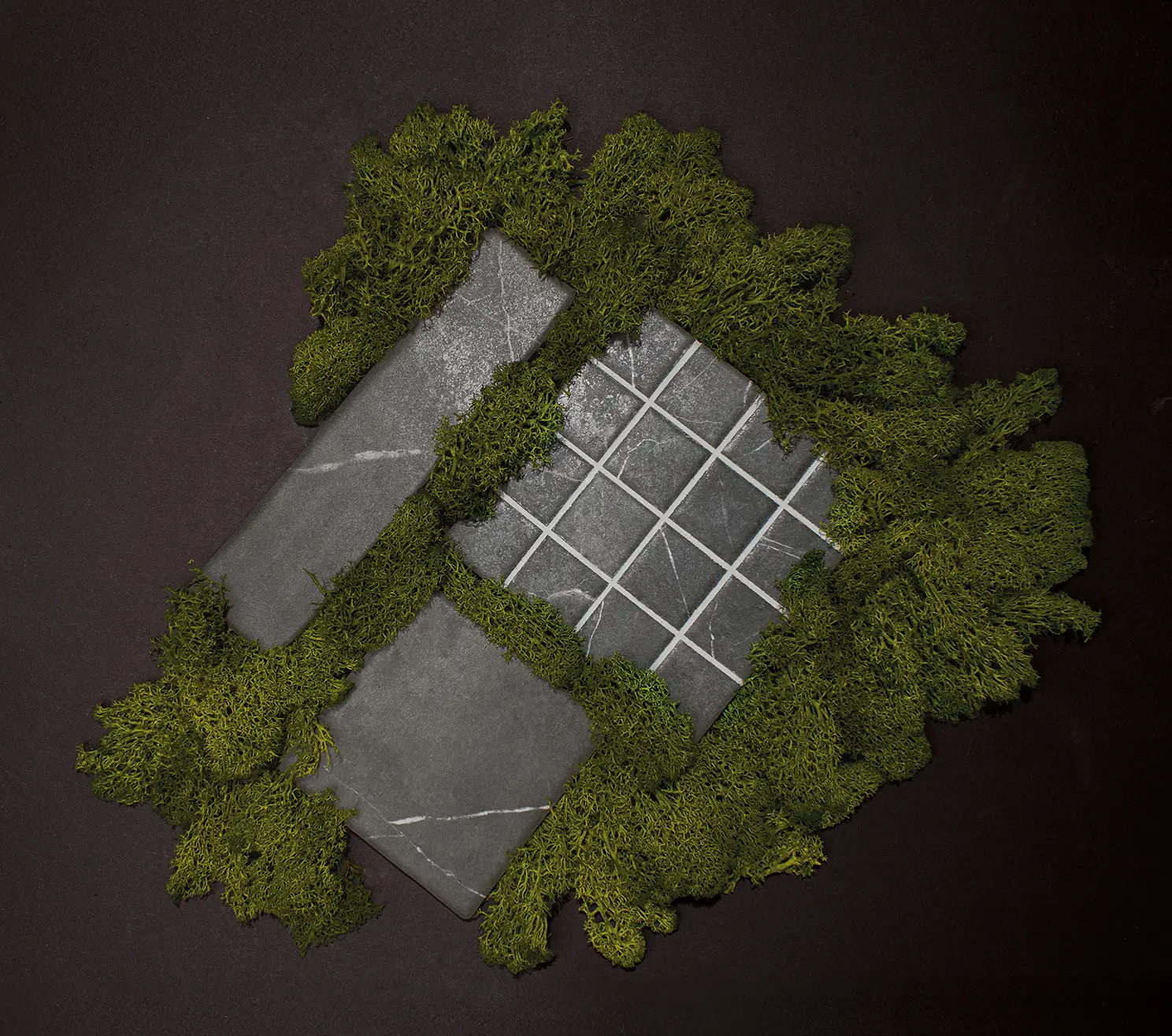 Wow Vestige - фото 42