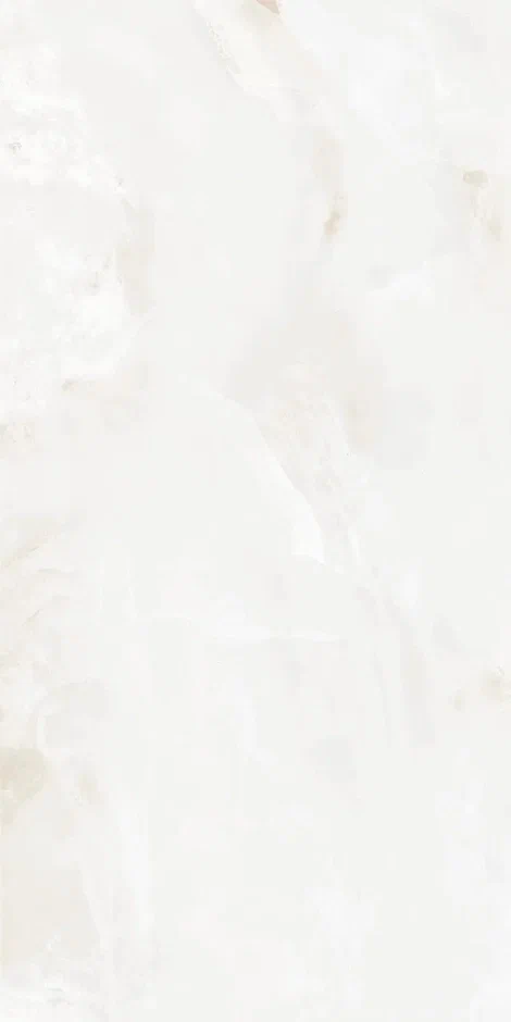 QI612P6701M  На пол Onix Astral Polish 60x120 - фото 6