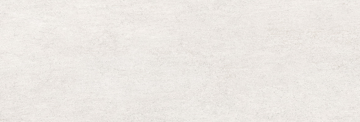 22124 На стену Erta Silver/100/R 33.3x100