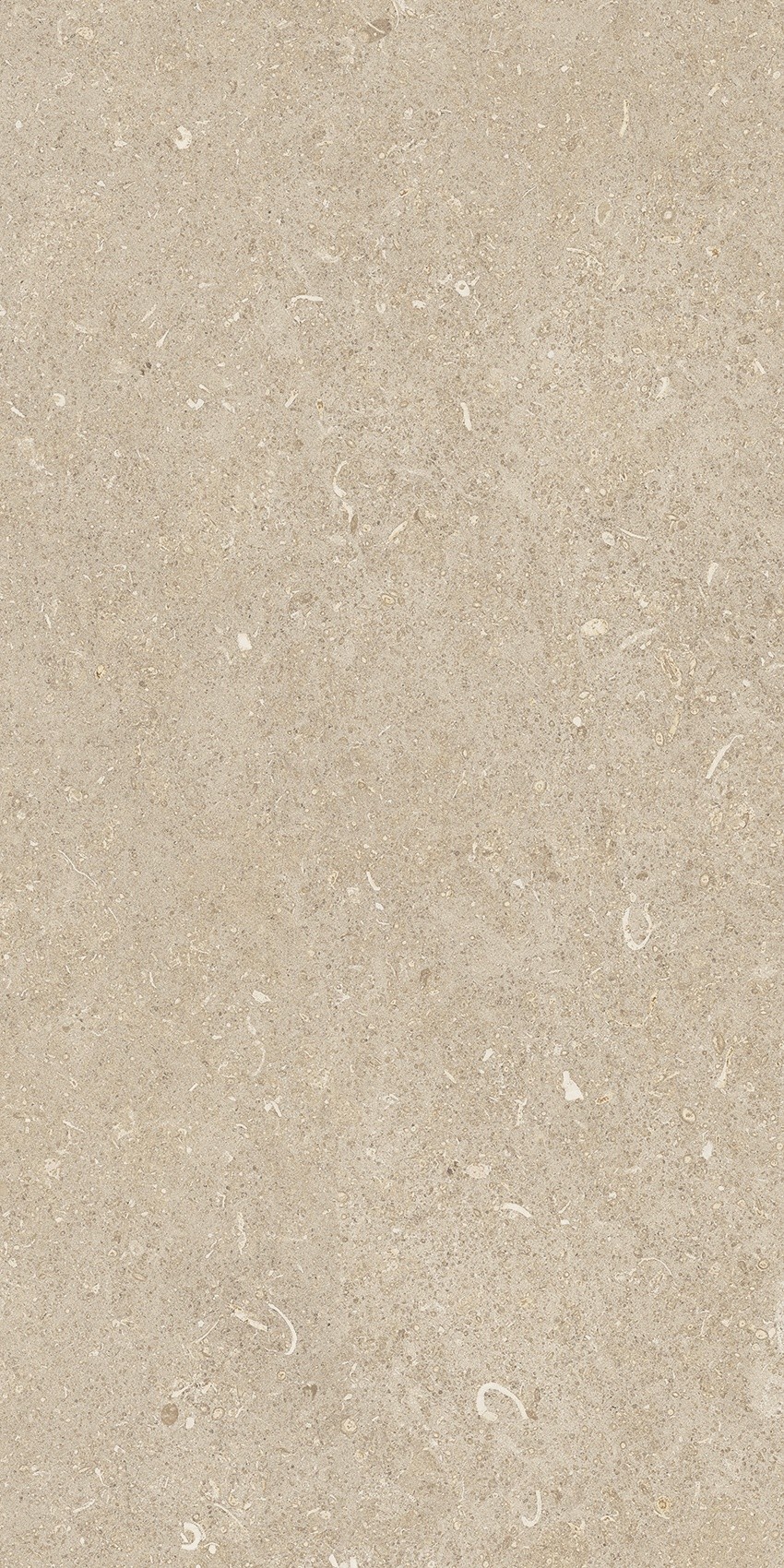 785489 На пол Rinascenza Arena Conchiglia Matte 30x60 - фото 5